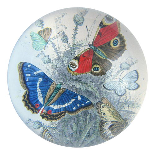 john derian Butterflies Dome Paperweight