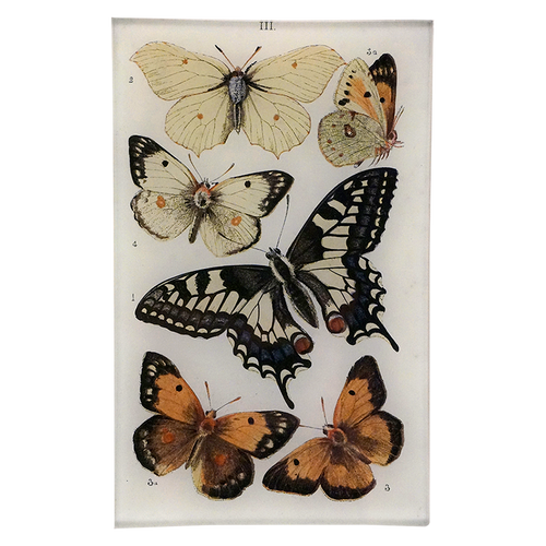 john derian Butterflies III 5 x 8" Cell Phone Tray