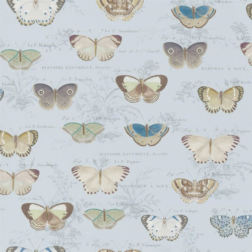 john derian Butterfly Cloud Blue Wallpaper