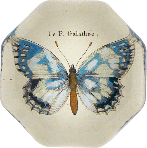 john derian Butterfly Fig. 4 Octagonal Charm