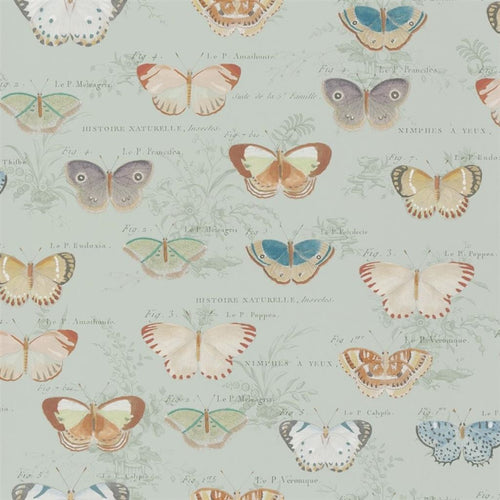 john derian Butterfly Studies Eau de Nil Wallpaper