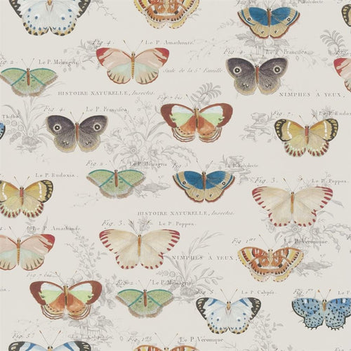 john derian Butterfly Studies Parchment Wallpaper