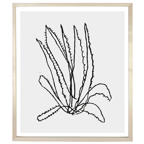 john derian Cactus Jack 12 x 14" Linocut Print