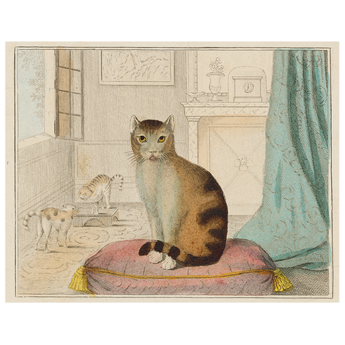 john derian Calm Cat (p 69) 11" x 14" Rect. Tray