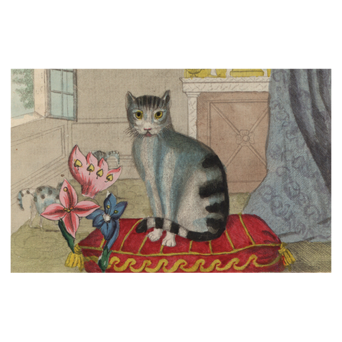 john derian Calm Cat Postcard (Pack of 10)