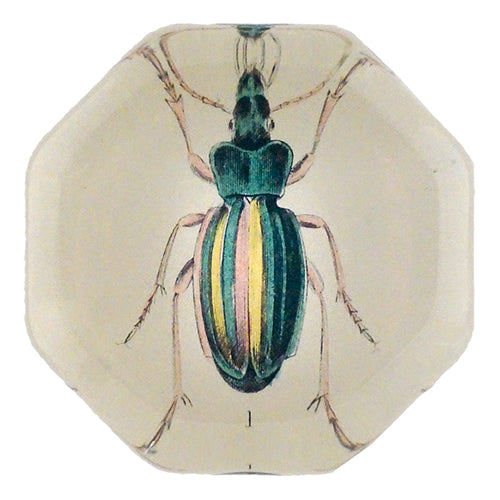 john derian Carabus Auratus Octagonal Charm