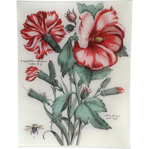 john derian Caryophyllus Maximus 10 x 13" Rect. Tray