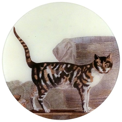 john derian Cat on the Waterfront 11" Round Plate