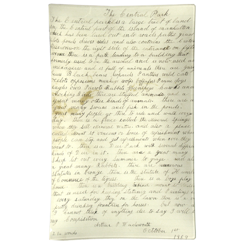 john derian Central Park Essay 10 x 16" Rect. Tray