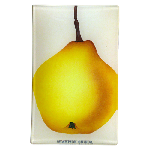 john derian Champion Quince 5 x 8" Cell Phone Tray