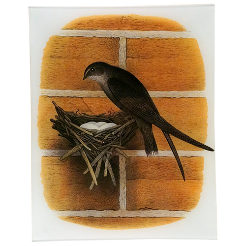 john derian Chimney Swift 11 x 14" Rect. Tray