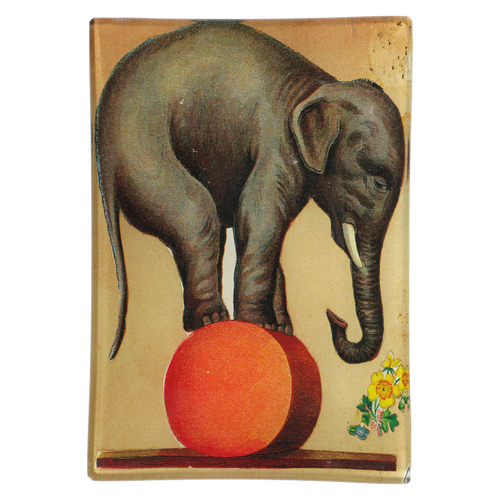john derian Circus Elephant 4.5 x 6.5" Mini-Tray