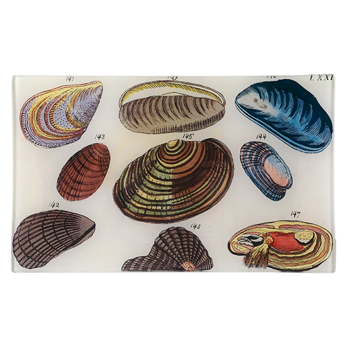 john derian Clams 7 x 11.5" Rect. Tray