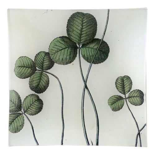 john derian Clover Un Vide Poche (6" Square)