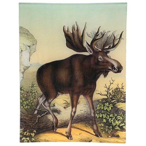 john derian Coco Moose C. 8 x 10.5" Rect. Tray