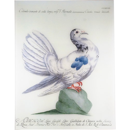 john derian Colombo 17 x 22" Rect. Tray