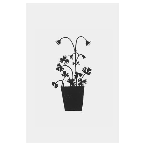 john derian Columbine 15 x 22" Linocut Print