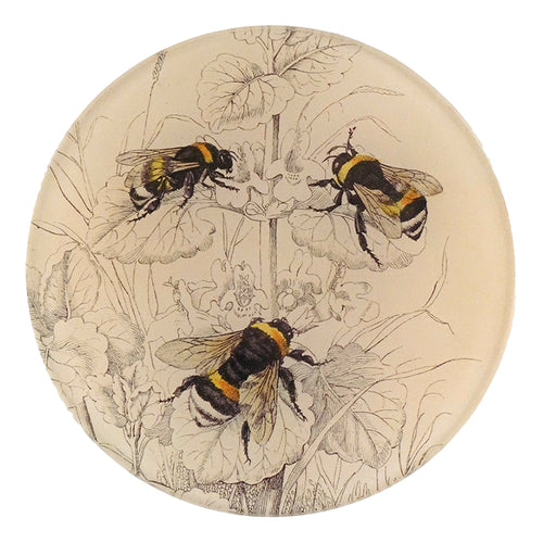 john derian Common Bumble Bees 5 1/4" Round Plate