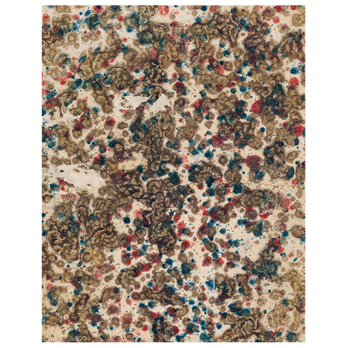 john derian Composition (p 149) 11" x 14" Rect. Tray