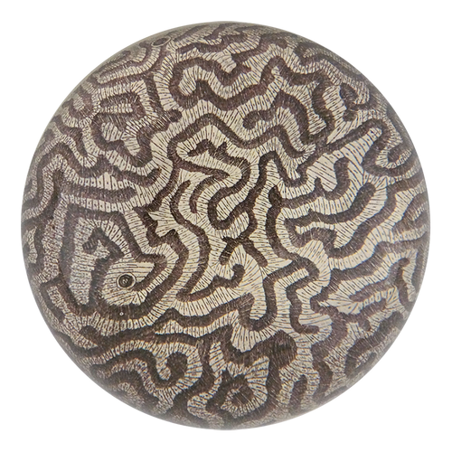 john derian Coral 1792 Dome Paperweight