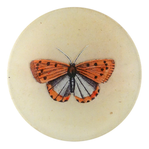 john derian Coral Butterfly 4" Round Plate