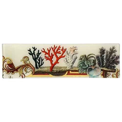 john derian Corals 3.5 x 12" Rect. Tray