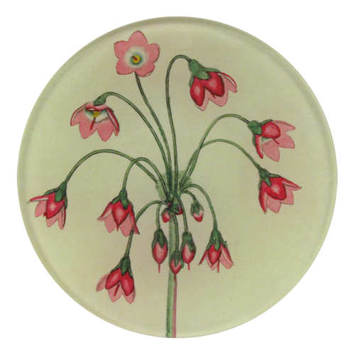 john derian Cortusa Matthioli 4" Round Plate