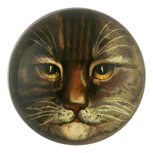 john derian Country Cat Dome Paperweight