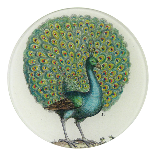 john derian Coy Peacock 5 1/4" Round Plate