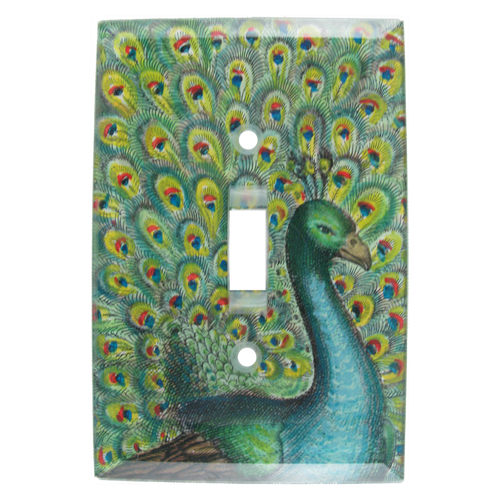 john derian Coy Peacock Switch Plate Cover