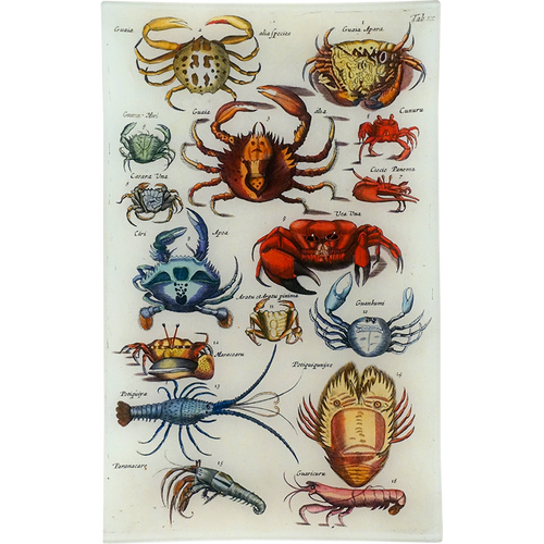 john derian Crabs IX 10 x 16" Rect. Tray