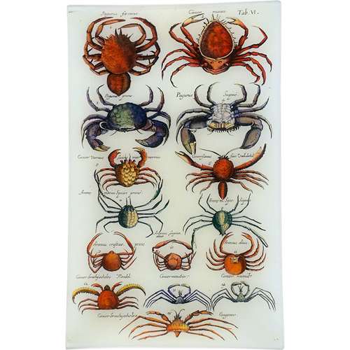 john derian Crabs VI 10 x 16" Rect. Tray