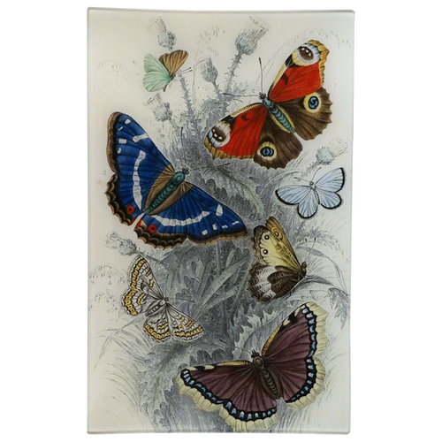 john derian Dancing Butterflies 10 x 16" Rect. Tray