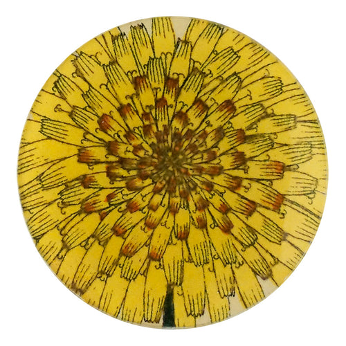 john derian Dandelion Flower 4" Round Plate