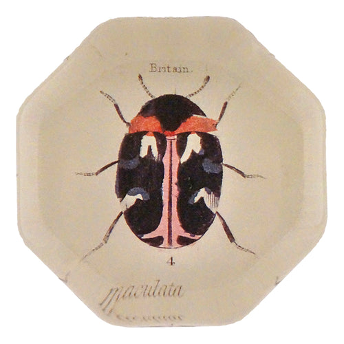 john derian Dark Bug Octagonal Charm