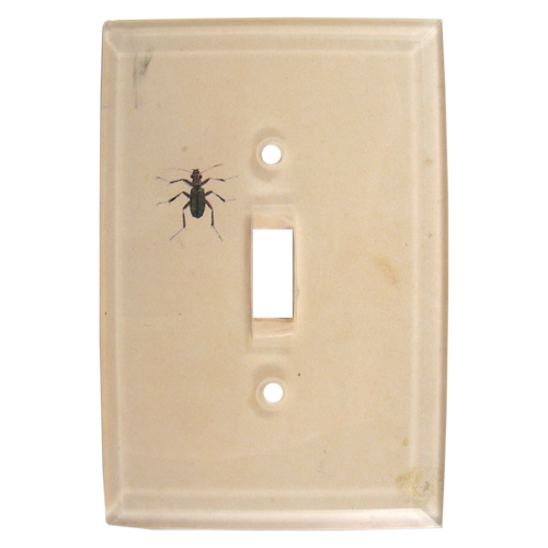 john derian Dark Bug Switch Plate Cover