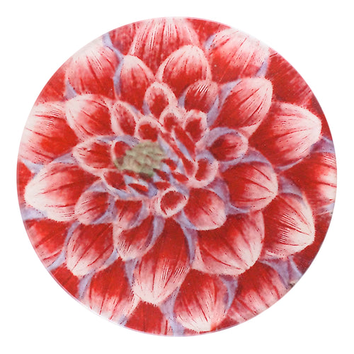 john derian Dark Pink Dahlia 5 1/4" Round Plate