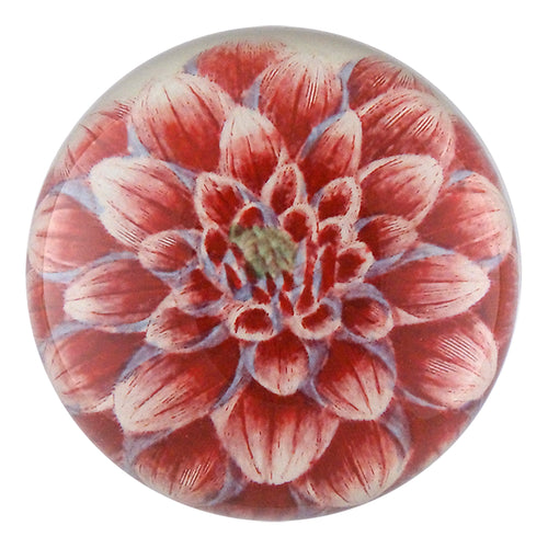 john derian Dark Pink Dahlia Dome Paperweight