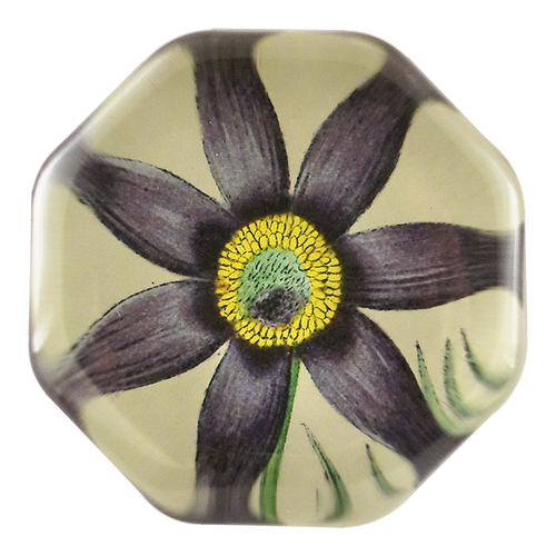 john derian Dark Purple Clematis Octagonal Charm