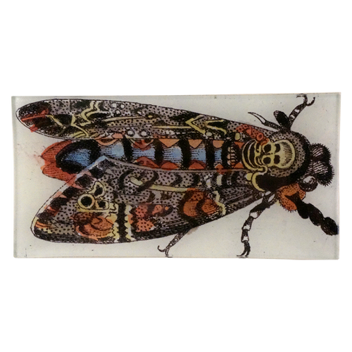john derian Death Head Moth 4 x 9" Rect. Tray