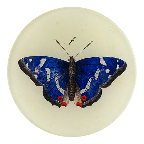 john derian Deep Blue Butterfly 4" Round Plate