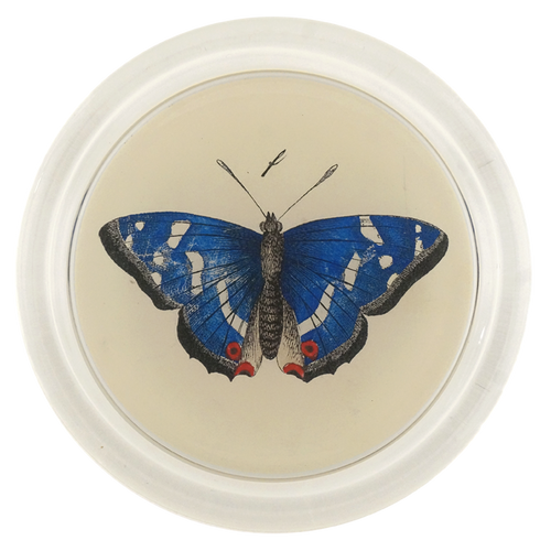 john derian Deep Blue Butterfly 6" Coaster
