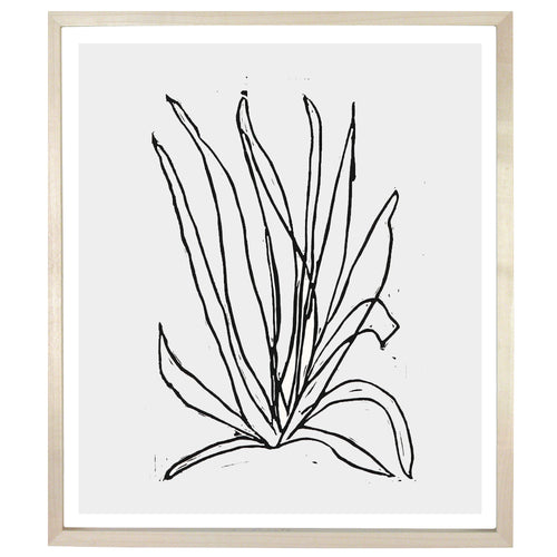 john derian Desert Plant 12 x 14" Linocut Print