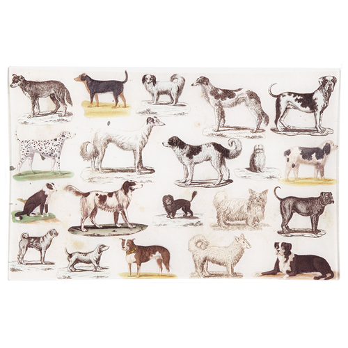 john derian Dog Run 9 x 14" Letter Tray