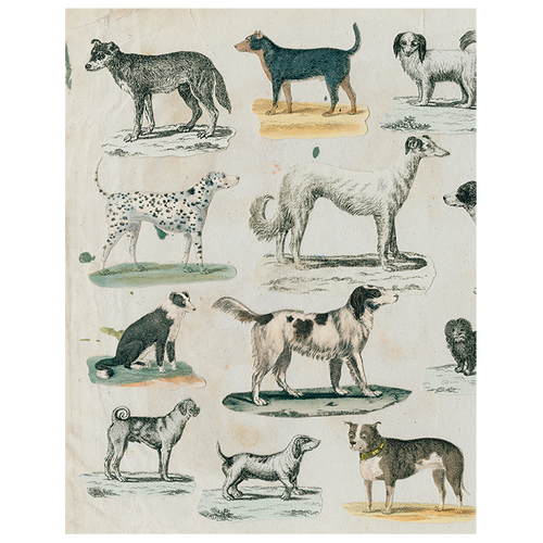 john derian Dog Run (p 275) 11" x 14" Rect. Tray