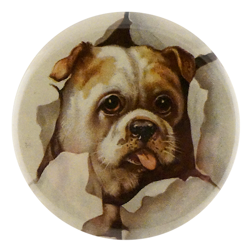 john derian Doggie Mirror & Pin