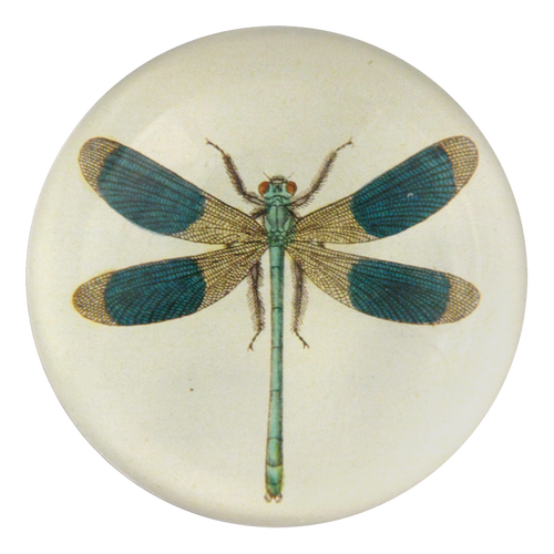 john derian Dragonfly Dome Paperweight