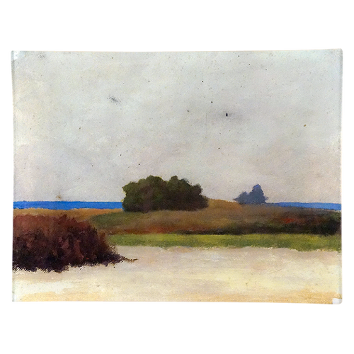 john derian Dune Painting 8 x 10.5" Rect. Tray