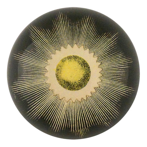 john derian Eclipse II Dome Paperweight