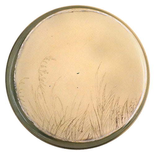 John Derian Eggs Desk Cup